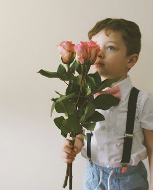 Blush Bow Tie Navy Suspenders - Boys To Adult Sizes